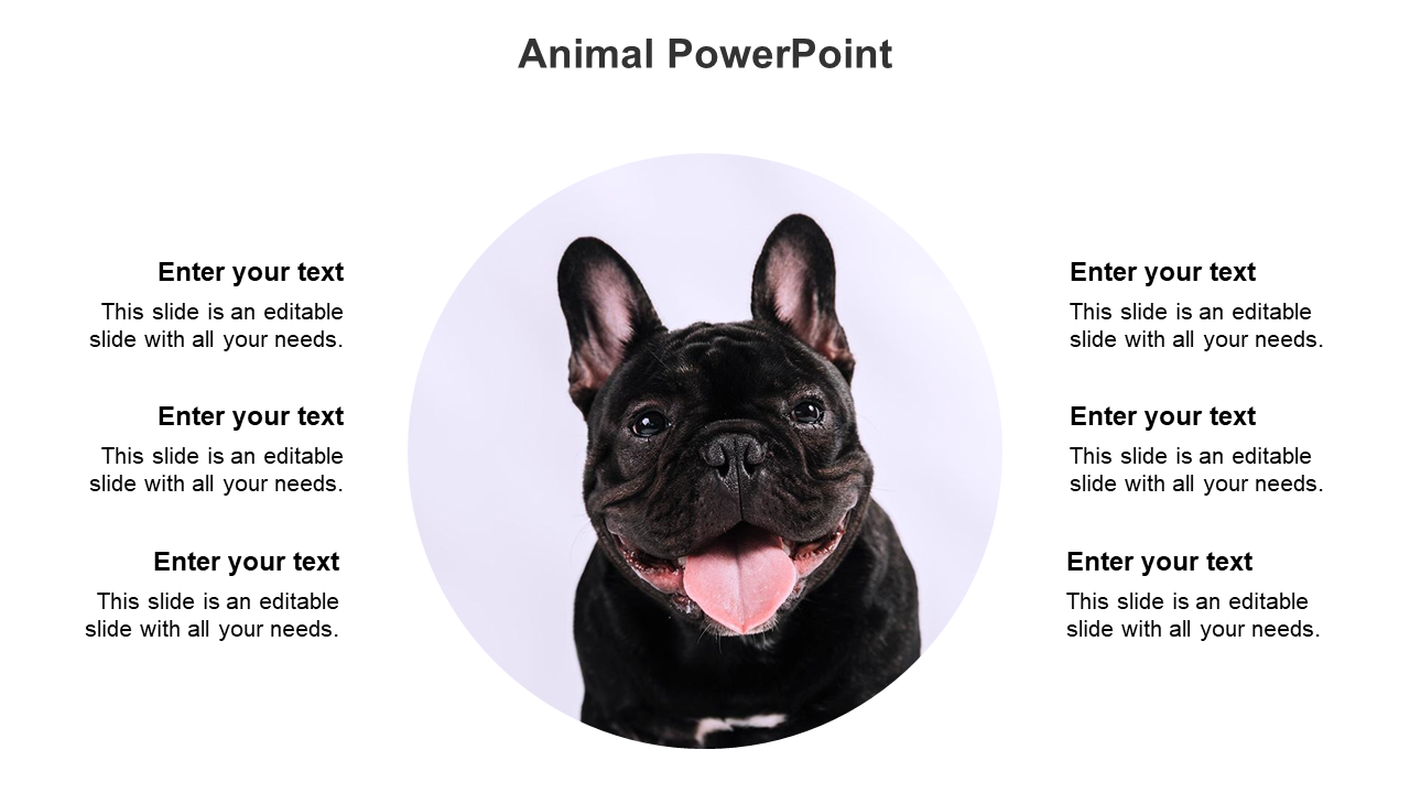Free - Animal PowerPoint presentation